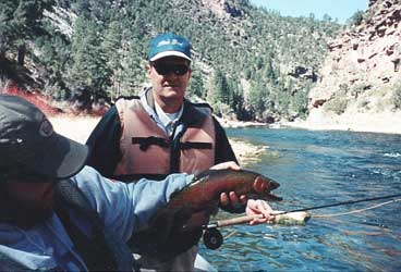 Rainbow trout - Green River